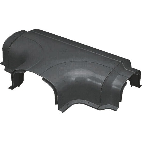 未来 ダクトチーズ