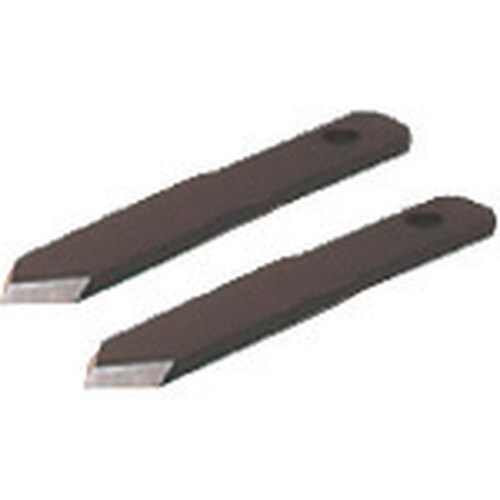 未来 SBホルソー