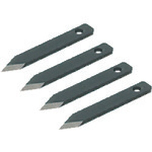 未来 SBホルソー