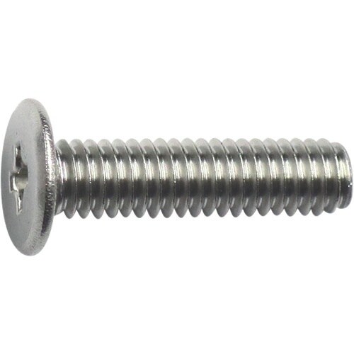 DAIDOHANT ステンレス超低頭小ネジ 5×3