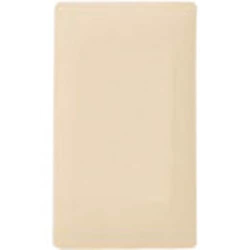 Panasonic アドバンスSカバープレート(1