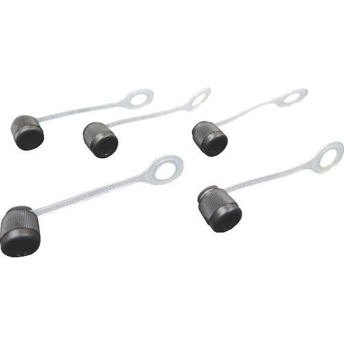 BBK アクセスバルブ(フレアキャップチェーン付)