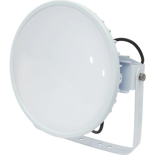 NICHIDO ハイスペックハイディスク300W