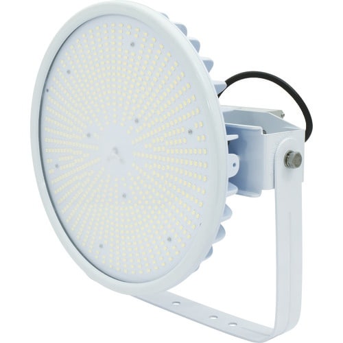 NICHIDO ハイスペックハイディスク300W