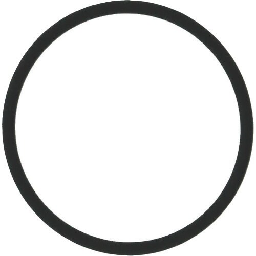 SIBATA Oリング パーフロ CPP 加圧容器