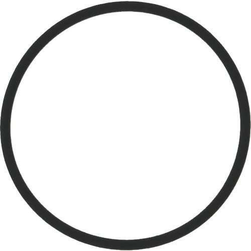 SIBATA Oリング パーフロ CPP 加圧容器