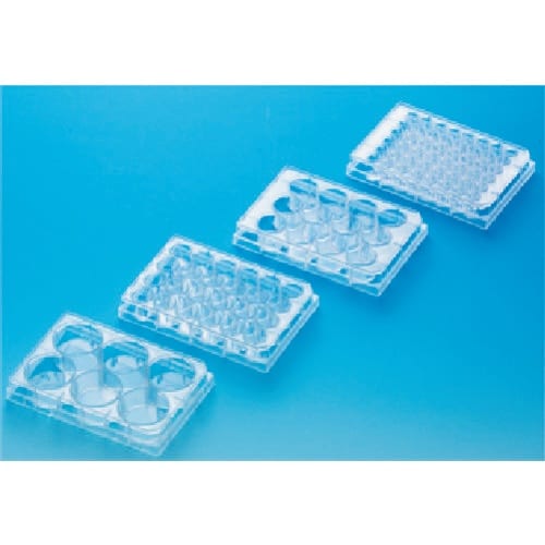 TGK マルチウェルプレート 6ウェル1 50包