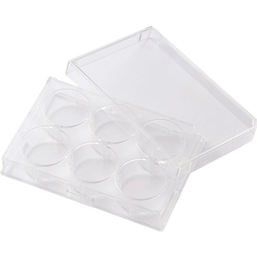 TGK マルチディッシュ6平底プレート 60枚