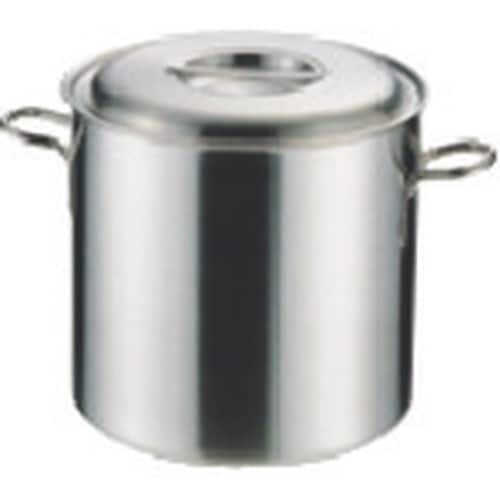 TKG KOINU プロデンジ 寸胴鍋 24cm