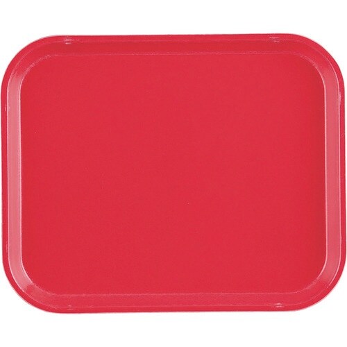 TKG キャンブロカムトレー(FRP) 1014