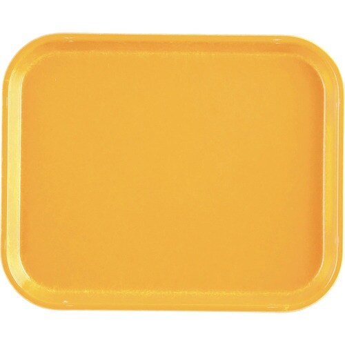 TKG キャンブロカムトレー(FRP) 1014