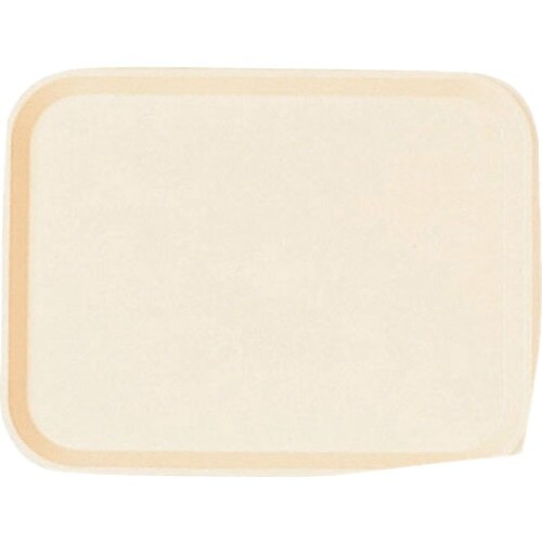 TKG キャンブロ ファーストフードトレー 101