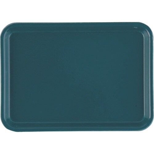 TKG キャンブロカムトレー(FRP) 57 ティ