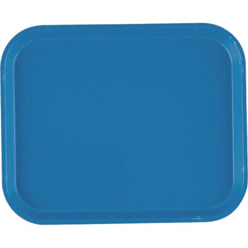 TKG キャンブロカムトレー(FRP) 810 ホ