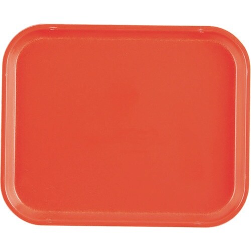 TKG キャンブロカムトレー(FRP) 1014