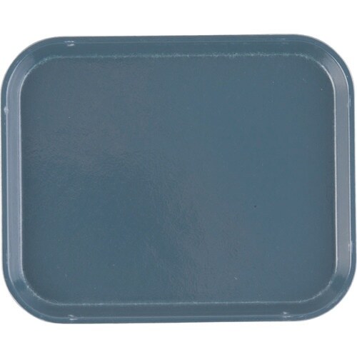 TKG キャンブロカムトレー(FRP) 810 ス