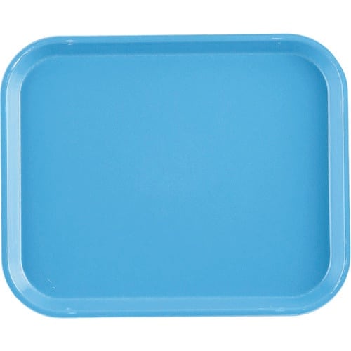 TKG キャンブロカムトレー(FRP) 1014