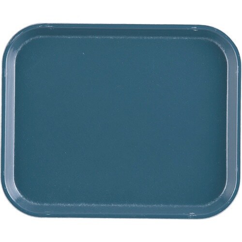 TKG キャンブロカムトレー(FRP) 1014