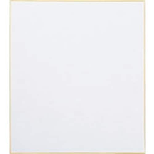 JTX 365340)色紙 画仙 10枚入 N10