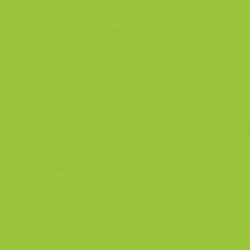 JTX 365270)単色おりがみウグイス 100