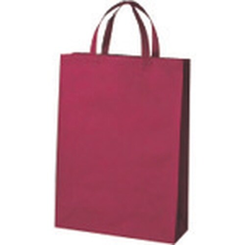 JTX 871062)不織布手提げバッグ中10枚ワ