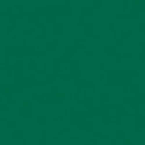 JTX 365259)単色おりがみ緑 100枚 B