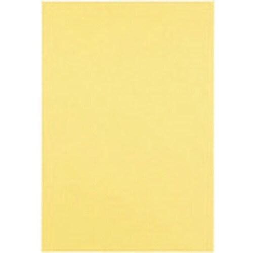 JTX 381334)色画用紙 8ツ切10枚 きい