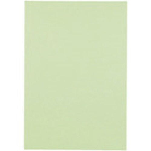 JTX 381329)色画用紙 4ツ切10枚 わか