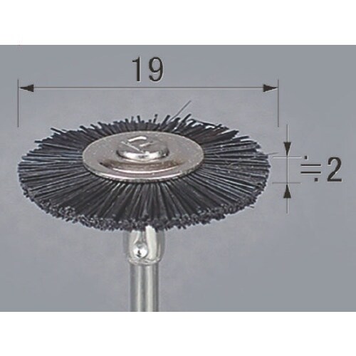 アルゴファイル ポリラピッドブラシ