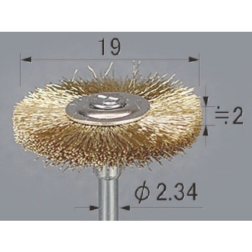 アルゴファイル ポリラピッドブラシ