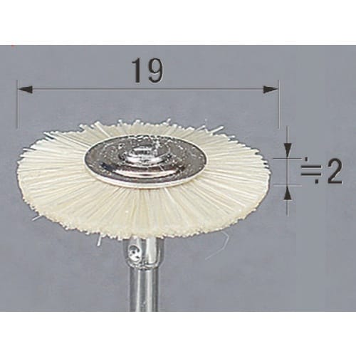 アルゴファイル ポリラピッドブラシ