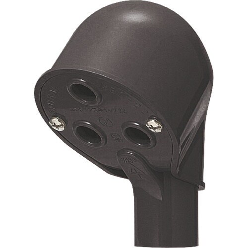 未来 エントランスキャップ