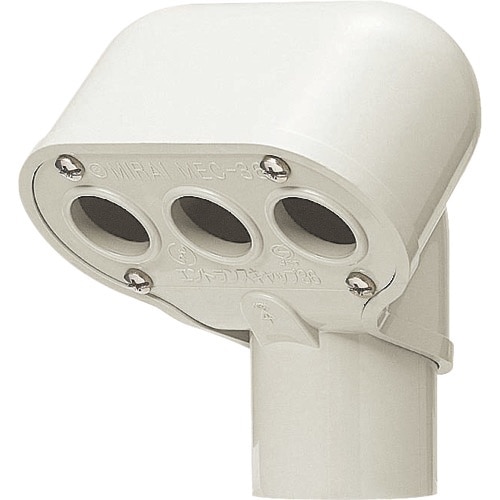 未来 エントランスキャップ