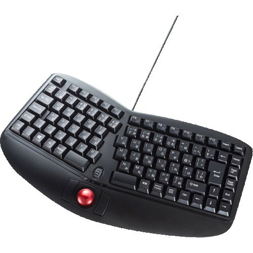 SANWA エルゴノミクスキーボード