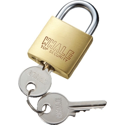 SANWA eセキュリティ(南京錠大No.1)