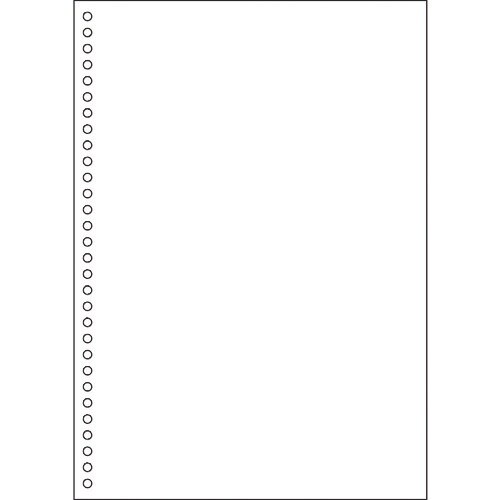 HISAGO FSC認証 マルチプリンタ帳票 A4