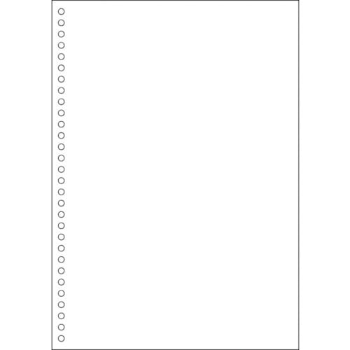 HISAGO マルチプリンタ帳票 A4 白紙 30