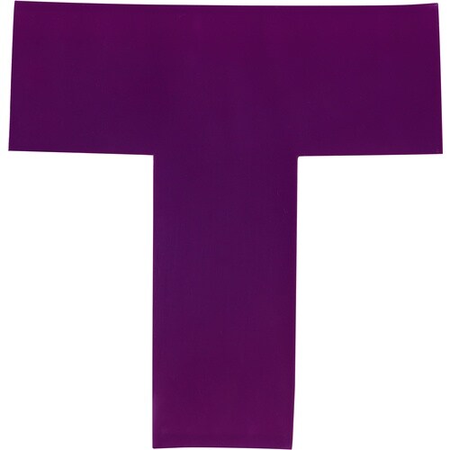 IWATA ラインプロ T型シート 紫