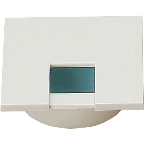 SUGATSUNE (210035876)LS76