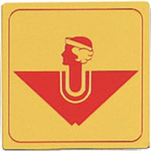 光 真鍮サインプレート 女マーク