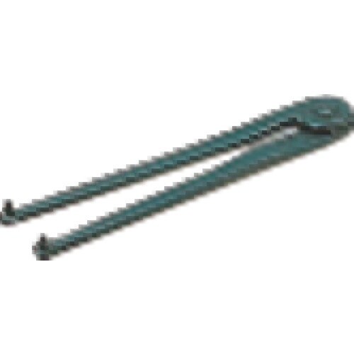 SUGATSUNE (270180387)Z058