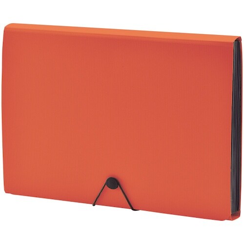 LIHIT ドキュメントファイル オレンジ A4
