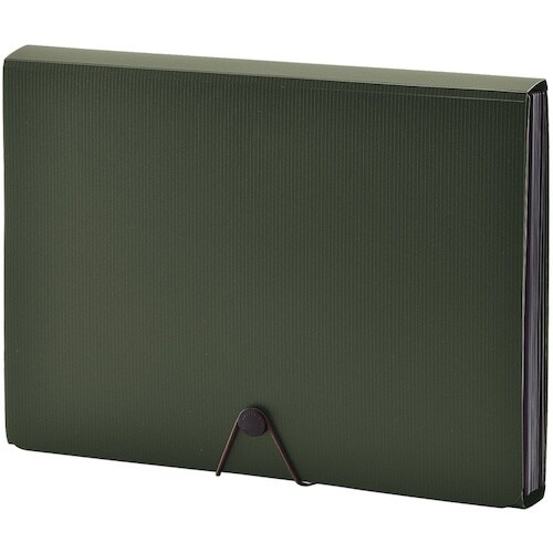 LIHIT ドキュメントファイル オリーブ A4