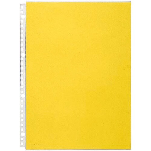 LIHIT クリヤーポケット (10枚入り) A4