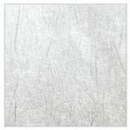 大黒 敷紙 桂シルバー 雲龍 4寸