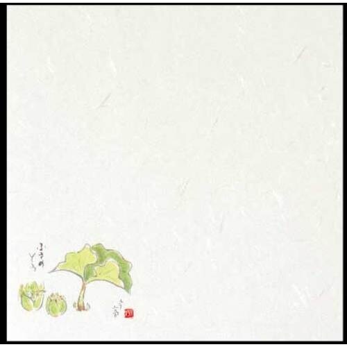 大黒 季寄せ懐紙 No.12 ふきのとう