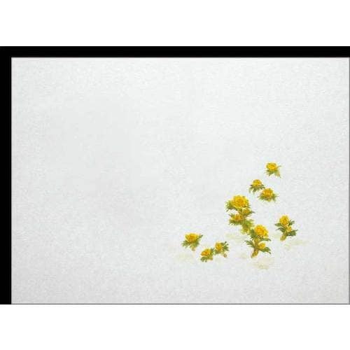 大黒 膳掛紙 No.538 福寿草