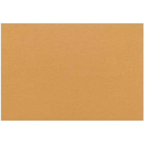 大黒 テーブルマット No.1101 里紙 びわ