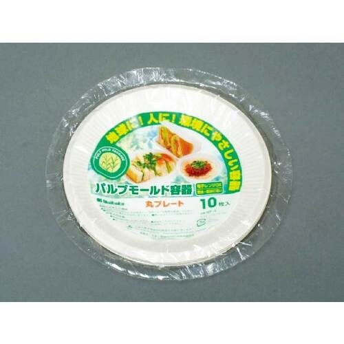 大黒 モールドプレート18.5cm MF−4 10