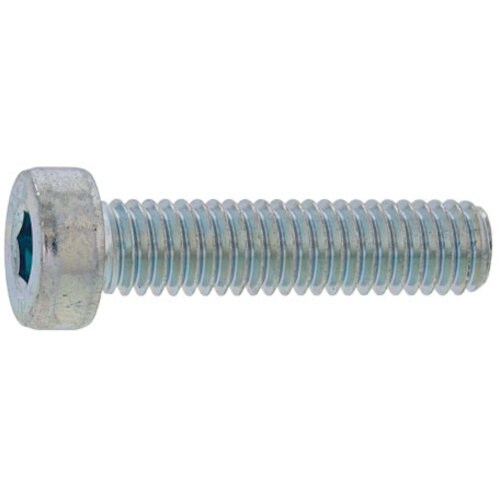 SUNCO SUS316L ローヘッドCAP 6×